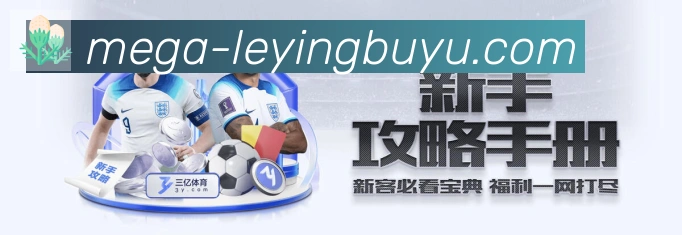 登录器